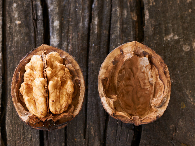 Горіхова шкаралупа є цінною для городу. Чотири способи використання від досвідчених городників