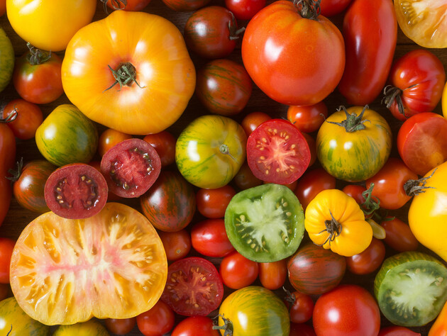 Как профессионально собрать семена из помидора, и что будет, если осенью закопать в грунт целый плод