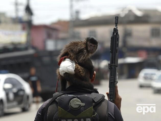 У Ріо-де-Жанейро поліція провела смертоносний рейд проти наркоторгівлі. Фоторепортаж