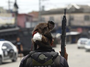 В Рио-де-Жанейро полиция провела смертоносный рейд против наркоторговли. Фоторепортаж