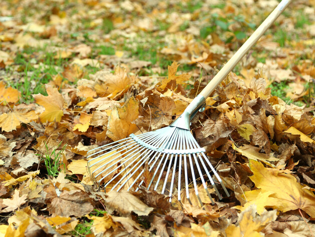 У жодному разі не паліть листя! Експерти пояснили, до чого це може призвести