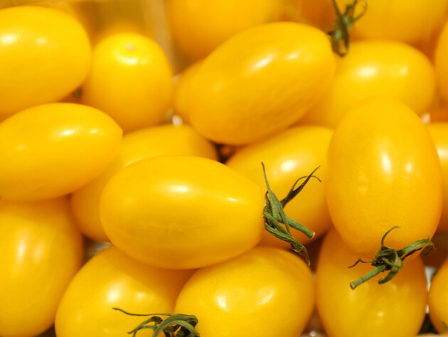 Назвали найсолодший сорт томатів. Їх варто посіяти наступного сезону