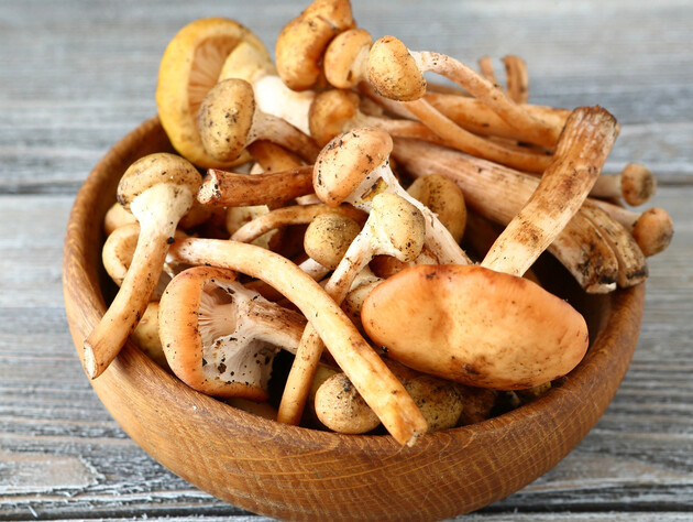 Скільки хвилин треба варити опеньки й у якій воді. Секрети приготування грибів