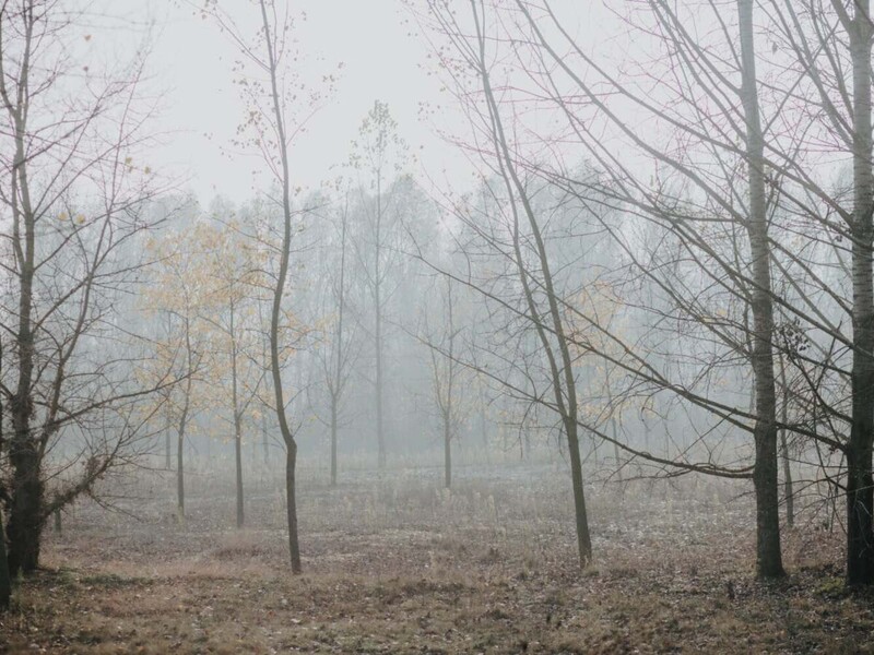 Туманні й хмарні вихідні прогнозують в Україні, але з теплою погодою