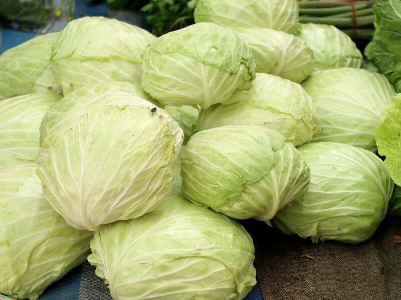 Посипте цим кожну головку – і капуста не псуватиметься в погребі. Лайфхак