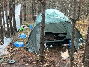 Намет, зарядна станція, запас їжі. Поліцейський з Києва, який зник із мільйонами гривень, оселився в лісі – ДБР