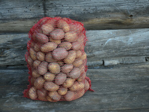 Положите это на мешок – и картофель в квартире пролежит до самой весны. Три проверенных совета