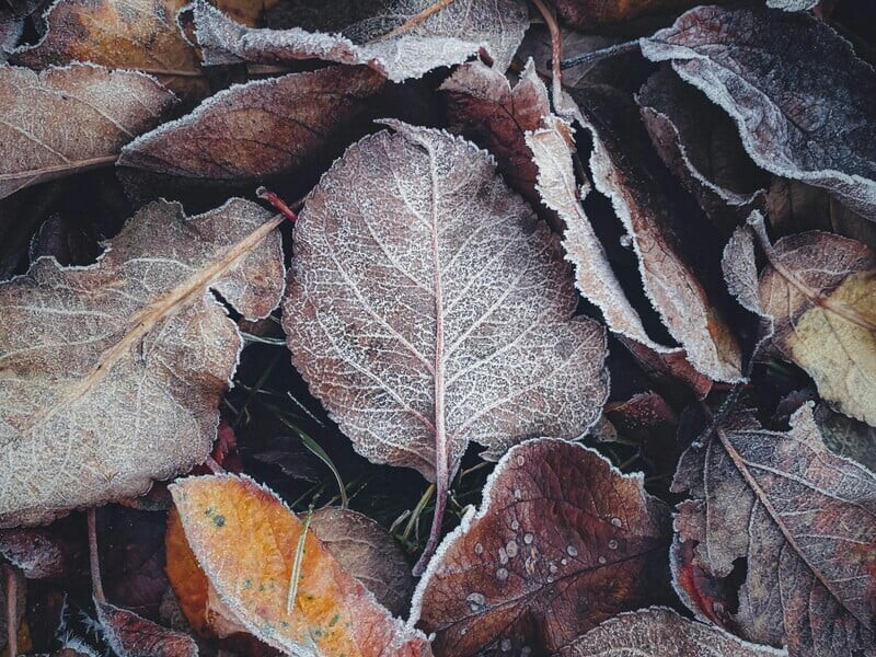 В ноябре в Украине прогнозируют похолодание, которое может стать одним из самых сильных за последние десятилетия – синоптик
