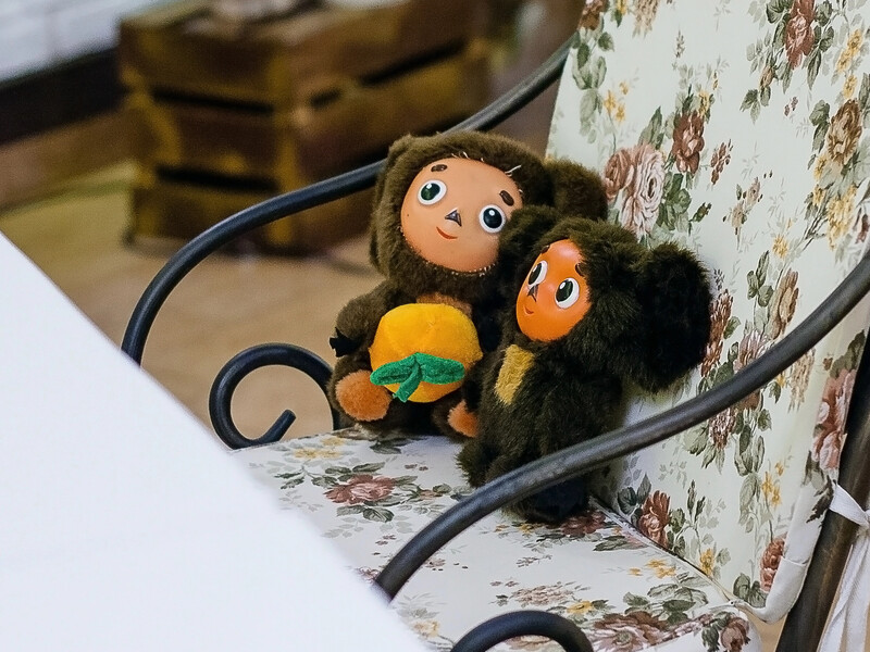 "Чебурашка – еврей". В Госдуме РФ на полном серьезе обсуждали национальность сказочного персонажа 