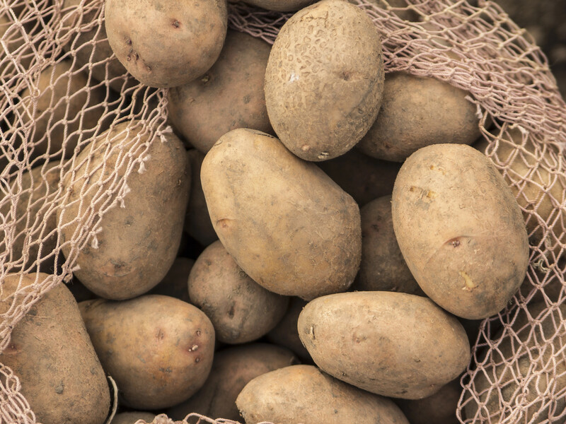 Опытные огородники всегда кладут это рядом с картошкой. Сделайте так же – и сохраните урожай до весны