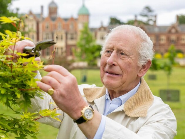 У стилі кежуал із ціпком у руках. Букінгемський палац показав нове фото Чарльза ІІІ на честь його 77-річчя