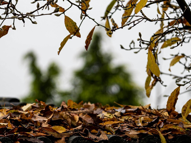 Грядет похолодание. Синоптик рассказала прогноз на выходные и когда ожидать снег в Украине
