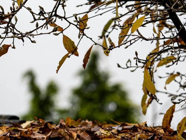 Суне похолодання. Синоптикиня розповіла прогноз на вихідні й коли очікувати сніг в Україні