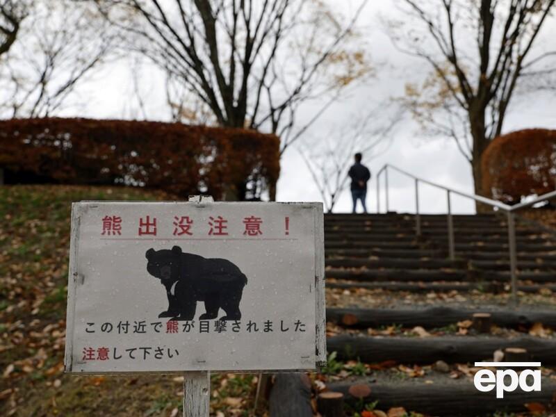 В Японии для противодействия медведям, которые убивают людей, начали применять дроны