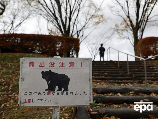 В Японии для противодействия медведям, которые убивают людей, начали применять дроны