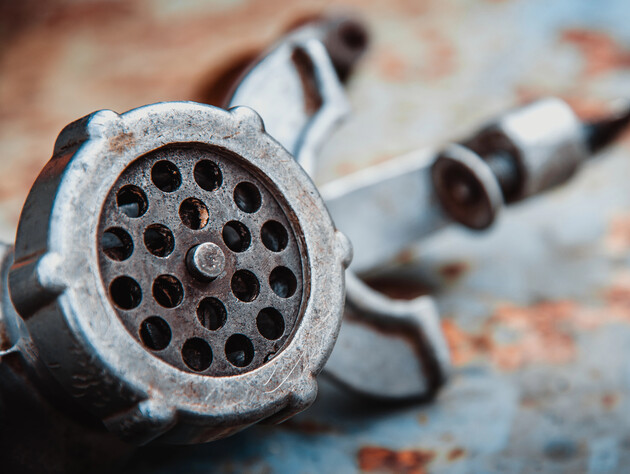 В РФ за убийство экс-мэра Самары и его жены судят их внучку. Тела, вероятно, пропустили через мясорубку