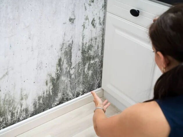 Смешайте это с уксусом – и от плесени на стенах не останется и следа. Лайфхак без химии