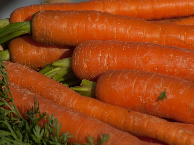 Используйте для хранения моркови и свеклы эти старые вещи. Советы огородников