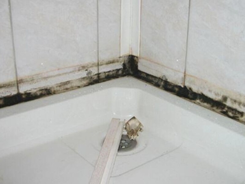 Благодаря этому копеечному средству плесень в ванной больше не появится. Проверенный метод