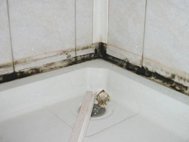 Благодаря этому копеечному средству плесень в ванной больше не появится. Проверенный метод