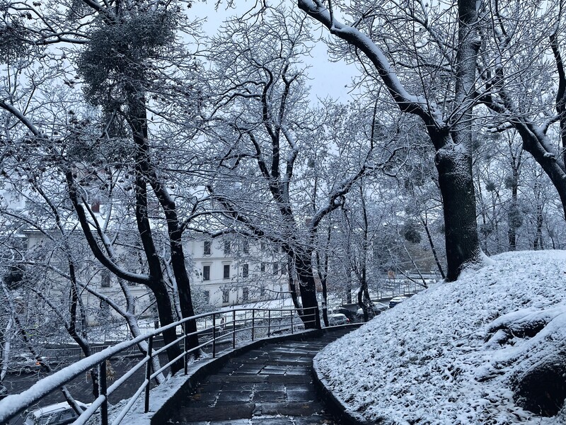 Во Львовской области непогода оставила без света 150 населенных пунктов