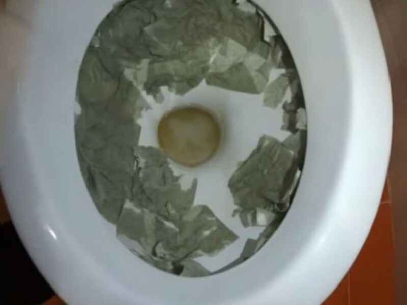 Не травите себя вредными средствами. Просто залейте унитаз этим – и он будет блестеть, как новый