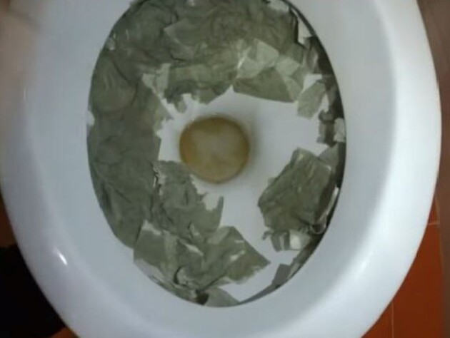 Не травите себя вредными средствами. Просто залейте унитаз этим – и он будет блестеть, как новый