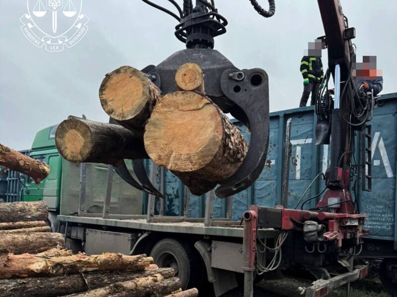 17 вагонов сосны маскировали под дрова. Прокуратура задокументировала вероятную контрабанду