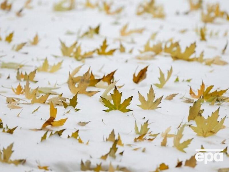 Синоптики розповіли, яким буде грудень в Україні