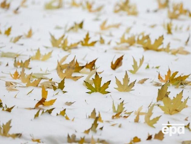 Синоптики розповіли, яким буде грудень в Україні