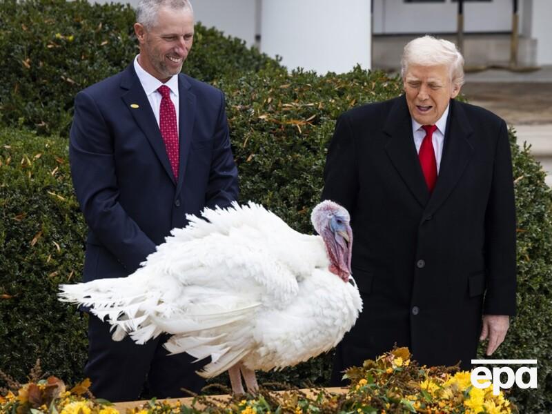 Трамп помилував двох індичок і заявив, що хотів би назвати їх Чаком та Ненсі, але є перешкода. Фото