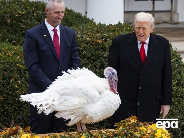 Трамп помилував двох індичок і заявив, що хотів би назвати їх Чаком та Ненсі, але є перешкода. Фото