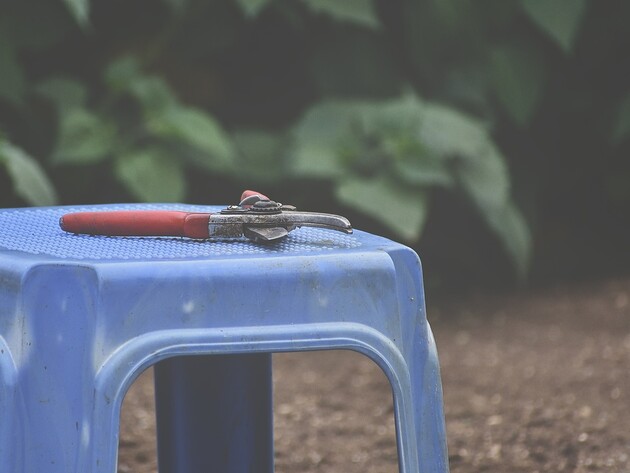 Городники назвали основні принципи обрізання корінців у саджанців