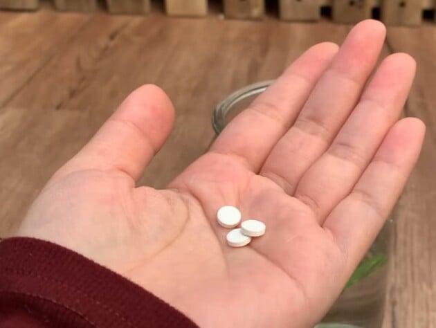 Розчиніть у воді ці три таблетки – і зів'яла орхідея знову почне активно цвісти й розвиватися