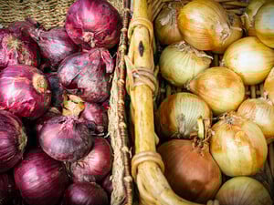 Посыпьте этим урожай – и лук пролежит до самой весны. Секретный способ сохранить урожай 