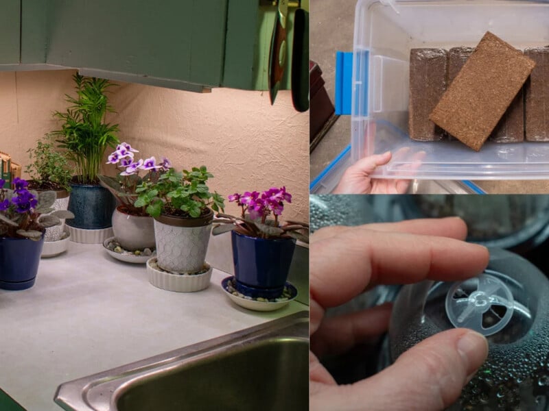 Пять вещей, которые должны быть в доме, если у вас есть комнатные растения, – это облегчит уход