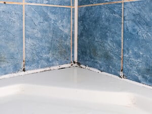 Смочите вату в этом аптечном препарате – и от плесени не останется и следа. Совет, который не подведет 