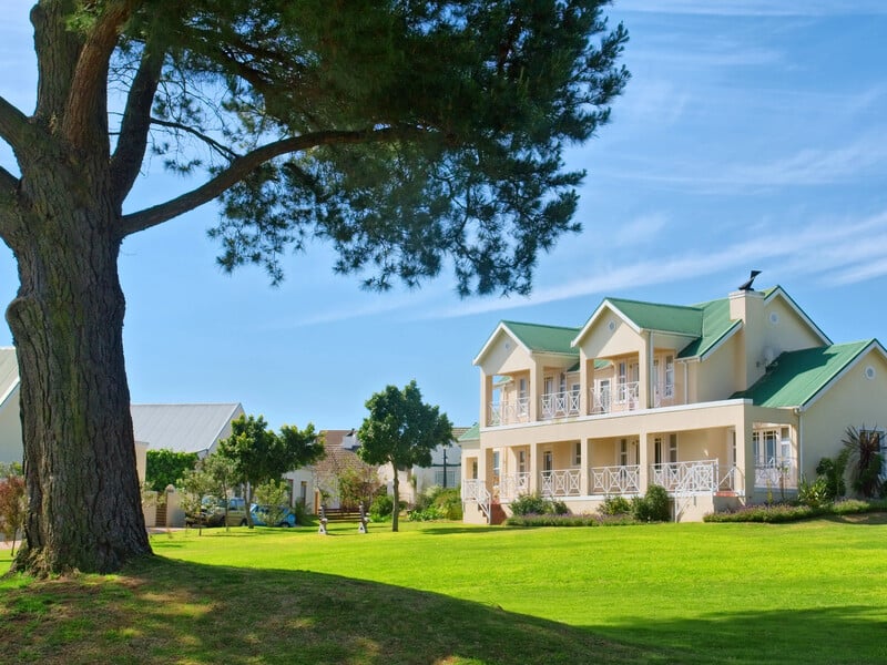 Повіє вітер – і вони можуть упасти будь-якої миті. Названо три дерева, яким не місце біля будинку