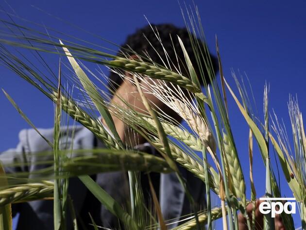 Ученые предсказали, от чего вымрет человечество