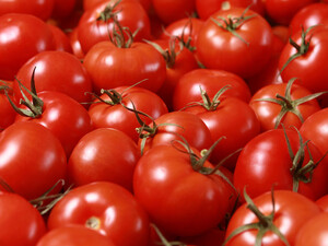 Опытный огородник назвал три лучших сорта томатов. Они стабильны и универсальны