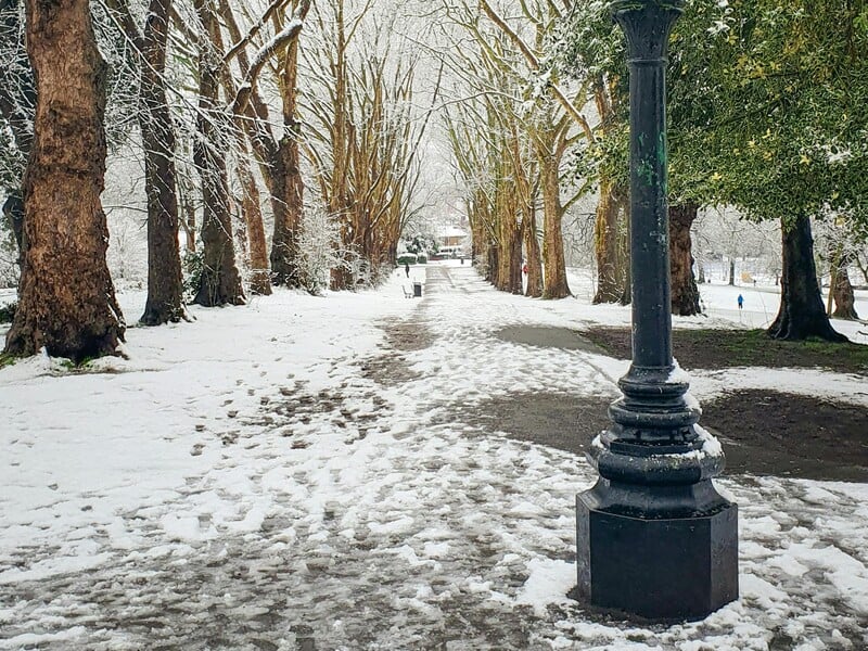 Мокрий сніг і сильний вітер. Синоптикиня попередила про погоду у вихідні