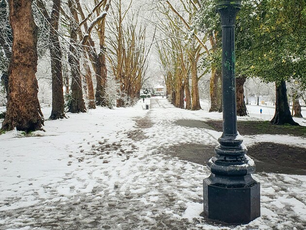 Мокрый снег и сильный ветер. Синоптик предупредила о погоде в выходные