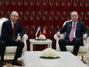 Эрдоган призвал Путина хотя бы к ограниченному прекращению огня в Украине