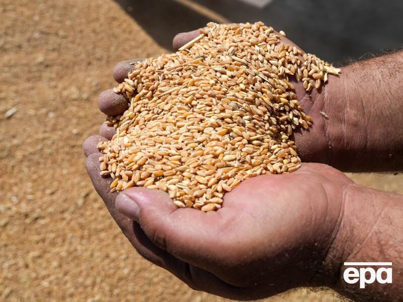 Россияне начали доставлять в Саудовскую Аравию контрабандное зерно из Крыма – расследование