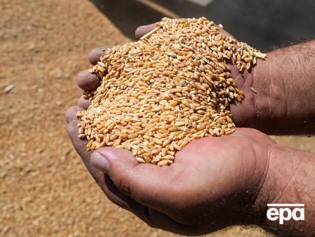 Россияне начали доставлять в Саудовскую Аравию контрабандное зерно из Крыма – расследование