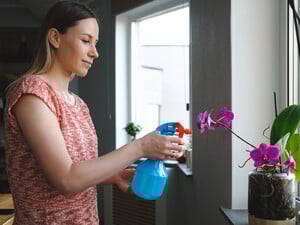 Не повторите зимой эту ошибку. Главные правила полива комнатных растений