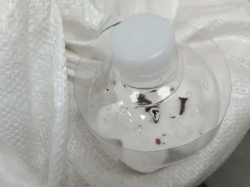 Смешайте это с солью – и через три дня от моли не останется следа. Эффективный лайфхак без химии