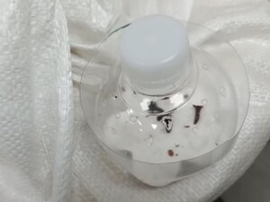 Смешайте это с солью – и через три дня от моли не останется следа. Эффективный лайфхак без химии