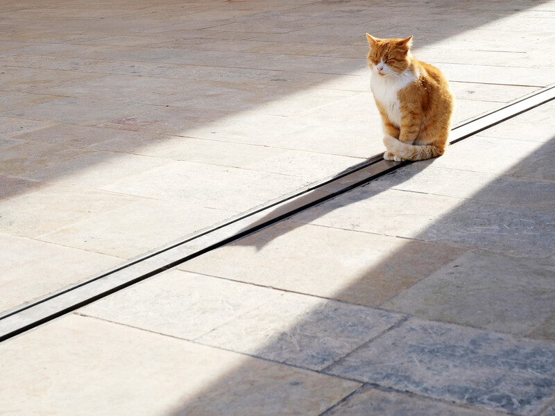 Температура зміниться. Синоптикиня розповіла, чого очікувати від погоди в Україні цього тижня