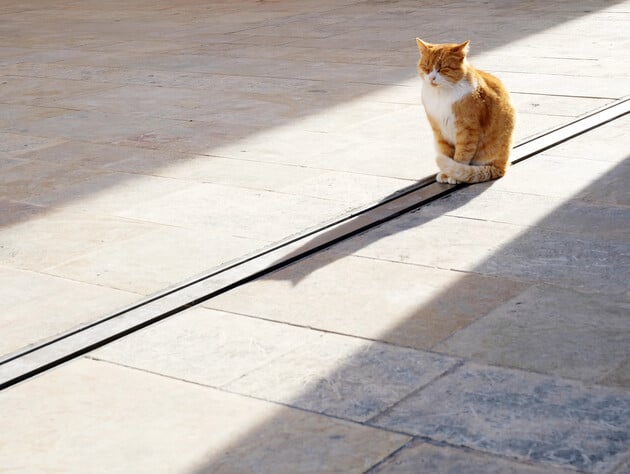 Температура зміниться. Синоптикиня розповіла, чого очікувати від погоди в Україні цього тижня